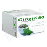 Gingio 80mg tbl. flm. 120x80mg