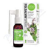 Folsalvin spray na dezinf. stn dutiny 30ml Fytoph